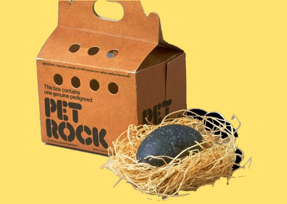 70s pet rock